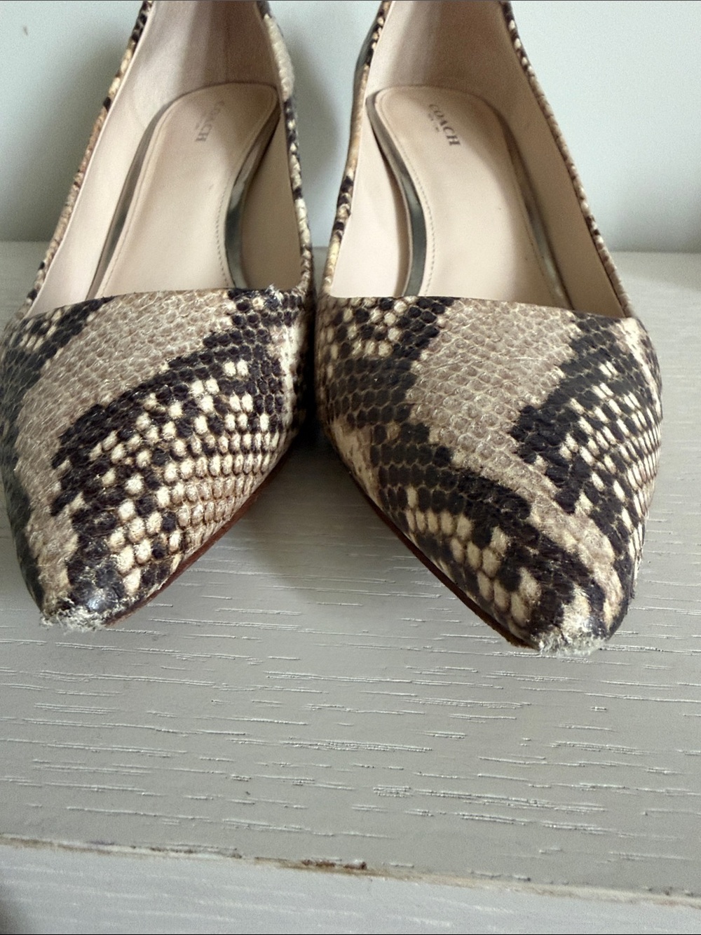 Coach Snake-Print Pointed-Toe Pumps in Tan and Black - Picture 4 of 6